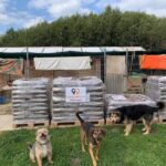 Drei Hunde stehen auf einem Rasen vor mehreren Paletten mit verpackten Waren, auf denen das Logo des Tierheims Tiersitter zu sehen ist.