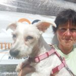 Eine Frau mit kurzen dunklen Haaren hält einen kleinen weißen Hund im Arm, der ein rosa Geschirr trägt. Sie befinden sich im Freien im Sonnenlicht und stehen vor einem Schild, dessen Text teilweise zu sehen ist, sowie vor verpackten Geschenken.