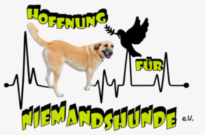 Logo mit einem hellbraunen Hund und der Silhouette einer Taube, die einen Olivenzweig hält, über einer Herzfrequenzkurve, mit dem Text HOFFNUNG FÜR NIEMANDSHUNDE e.V.
