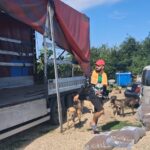 Ein Mann geht mit Hunden an großen Säcken mit Tierfutter vorbei, die neben einem weißen Lieferwagen und einem offenen Lkw stehen, während ein anderer Mann Säcke vom Lkw ablädt. Im Hintergrund sind Bäume und Baumaschinen zu sehen.