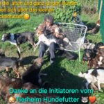 Eine Person sitzt auf einer weißen Gartenbank, umgeben von vielen Hunden in einem grasbewachsenen Garten; oben und unten ist deutscher Text eingeblendet.