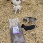 Mehrere Welpen spielen auf Stroh um einen Sack Hundefutter und einen Napf mit Trockenfutter herum.